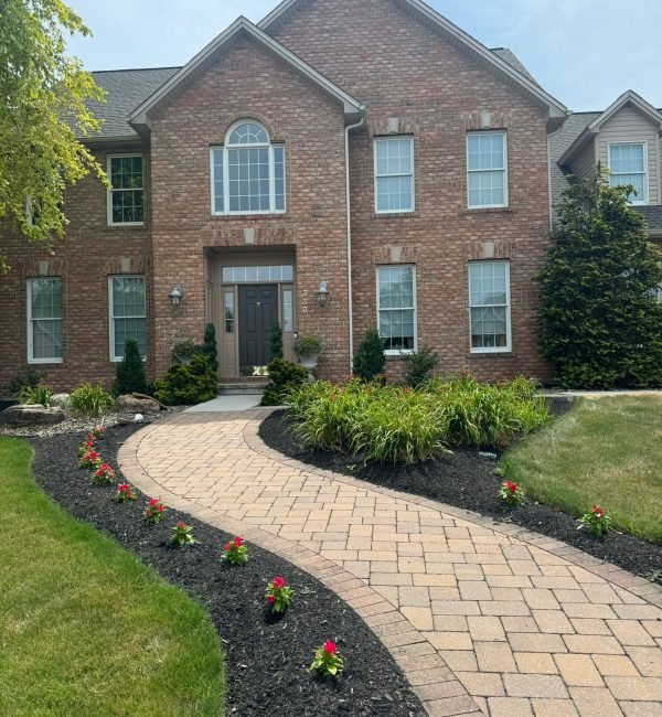 Imagen de WhatsApp 2025-09-17 a las 20.10.54_1df496c1